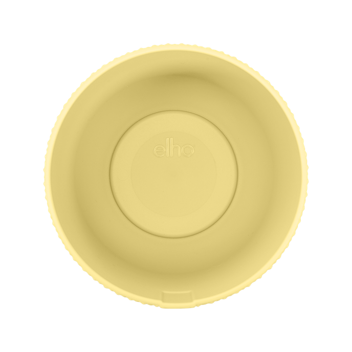 jazz rond mini 9cm cream yellow